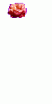 $glyagmuru4ds8rbyf9.gif