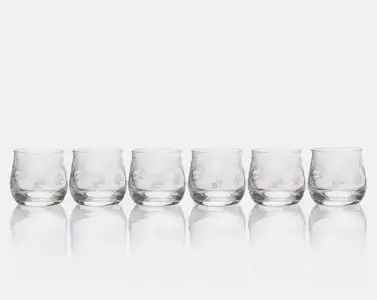 FO,14593,19,antoinette-clear-6li-viski-bardagi.webp
