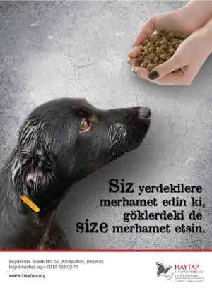 HAYTAP_merhamet.webp