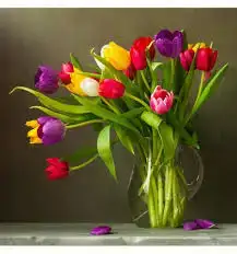 images.webp