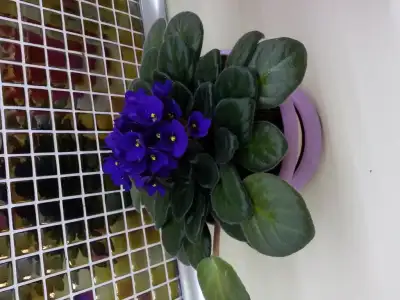 20150303_161704.webp