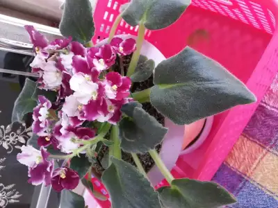20150303_161730.webp