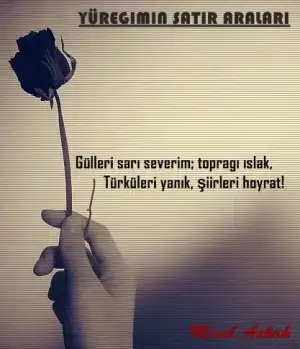 tumblr_n158rmBW0R1st9itno1_500.webp