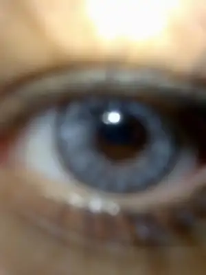 $040720111617.webp