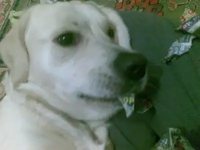 $15012011.webp