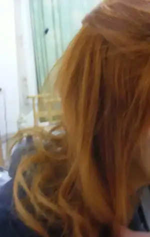 $DSCF0004.webp $DSCF0004.webp