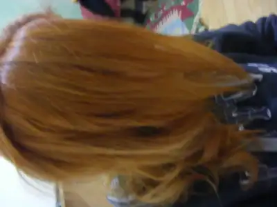 $DSCF0005.webp $DSCF0005.webp