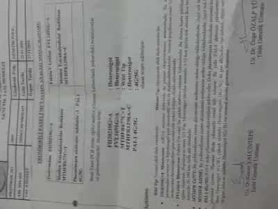 20150306_200125.webp