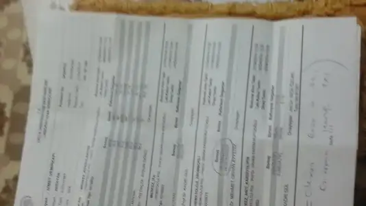 20150306_195933.webp