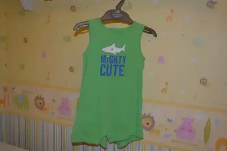 43.CARTERS_T_9-12AY(800x533) (2).webp