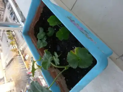 20150309_170434.webp