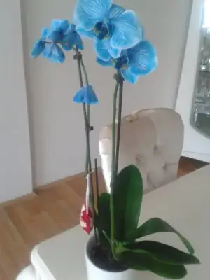 20150310_155054.webp