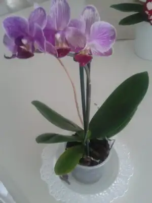 20150310_155132.webp
