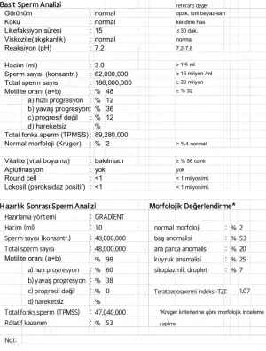 2015-03-10 23.54.07.webp