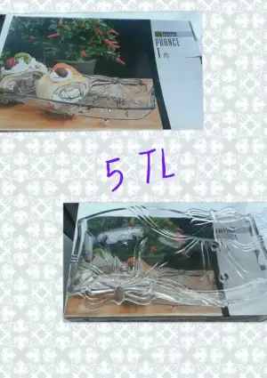 index-2.webp
