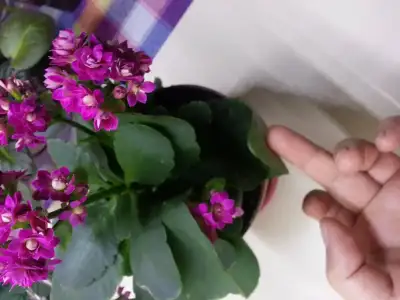 20150311_194657.webp