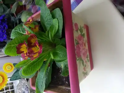 20150311_215551.webp