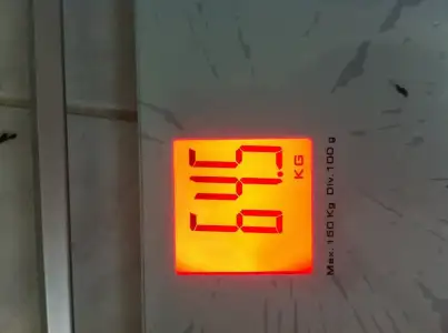 image.webp image.webp