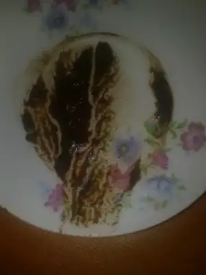 $190720114396.webp