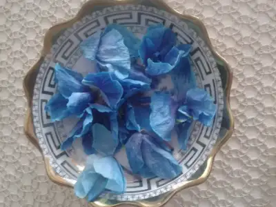 20150313_163338.webp