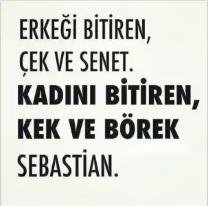 44444.webp