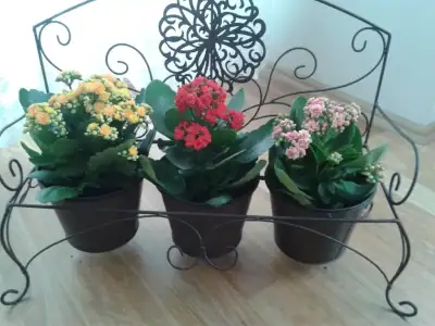 20150316_112906.webp