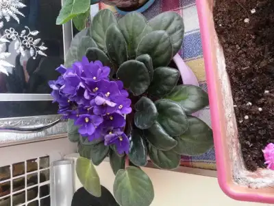20150319_125306.webp