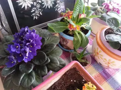 20150319_153133.webp