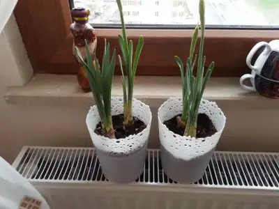 20150319_153201.webp