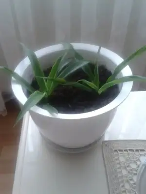 20150319_154616.webp