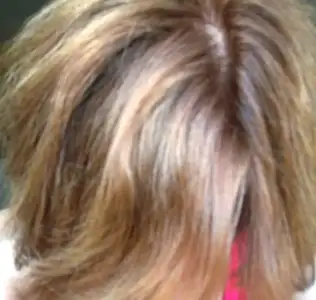 $100_1878.webp