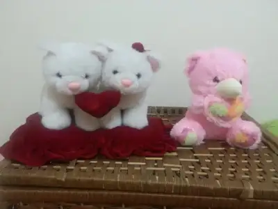 20150324_214401.webp