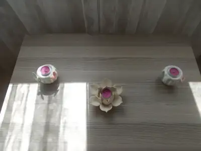 DSCN2413.webp
