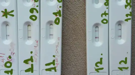 2015-03-26 12.53.35.webp