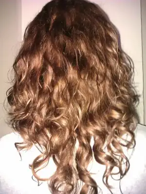 $IMAG0231.webp $IMAG0231.webp