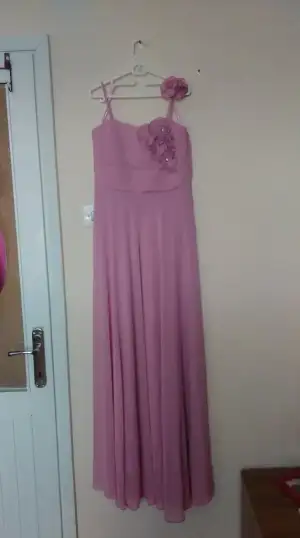 IMAG0228.webp