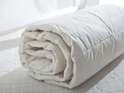 M008276_large (1).webp