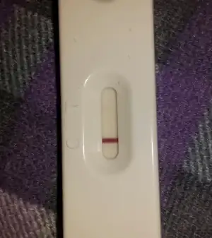 2015-04-01 00.14.05.webp