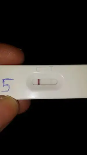 2015-04-01 20.28.46.webp