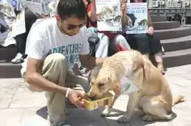 images (9).webp