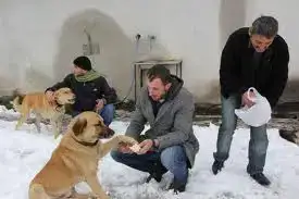 images (5).webp