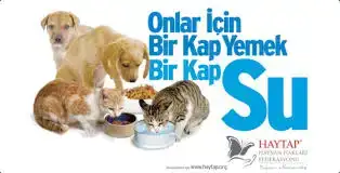 indir.webp