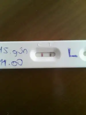 10924621_1123737527652156_335316574777339217_o (1).webp