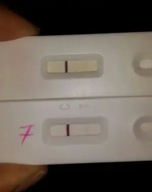 2015-04-03 18.53.59.webp