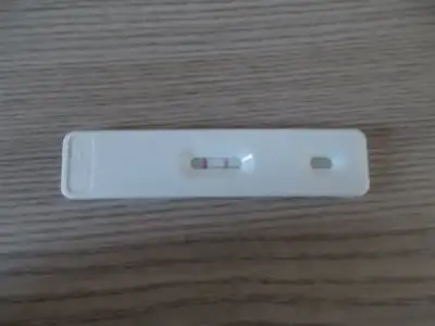 DSCN2430.webp