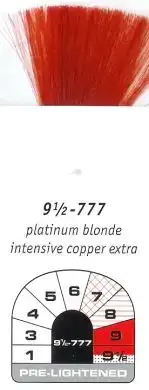 $t_13902.webp