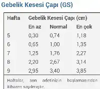 2015-04-13 11.20.06.webp
