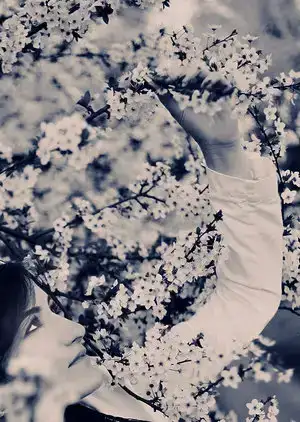 $Spring_by_sinademiral.webp