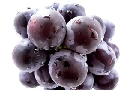 $5d0e3cd3juicy-fruit-grapes.webp