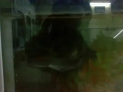 $02082011093.webp